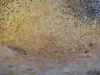 secco_convivencia-2